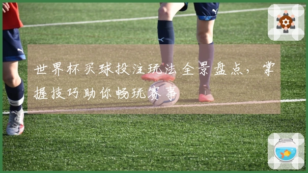 世界杯买球投注玩法全景盘点，掌握技巧助你畅玩赛事