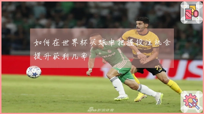 如何在世界杯买球中把握投注机会提升获利几率