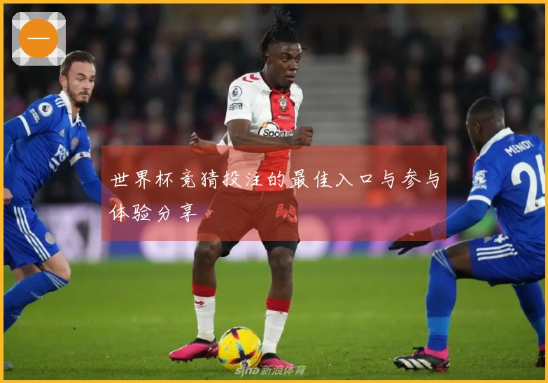 世界杯竞猜投注的最佳入口与参与体验分享