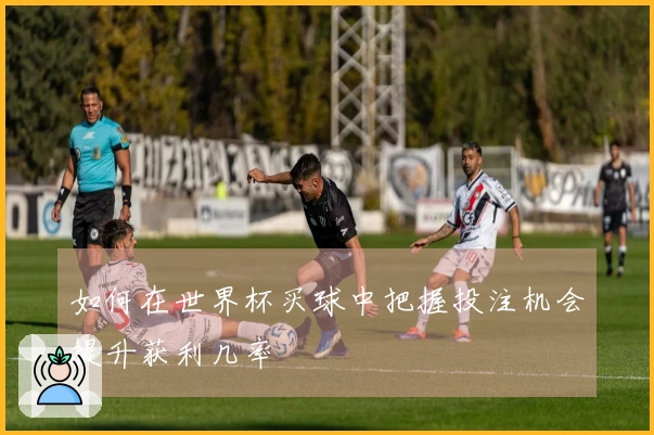 如何在世界杯买球中把握投注机会提升获利几率
