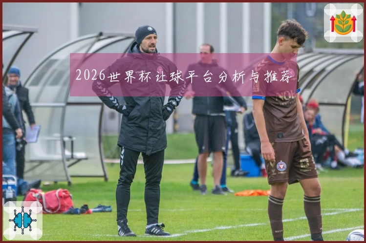 2026世界杯让球平台分析与推荐