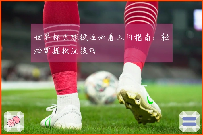 世界杯买球投注必看入门指南，轻松掌握投注技巧