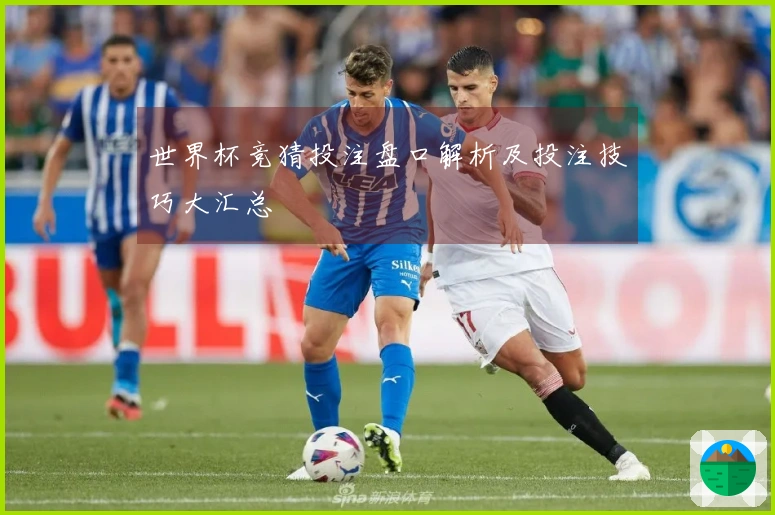 世界杯竞猜投注盘口解析及投注技巧大汇总