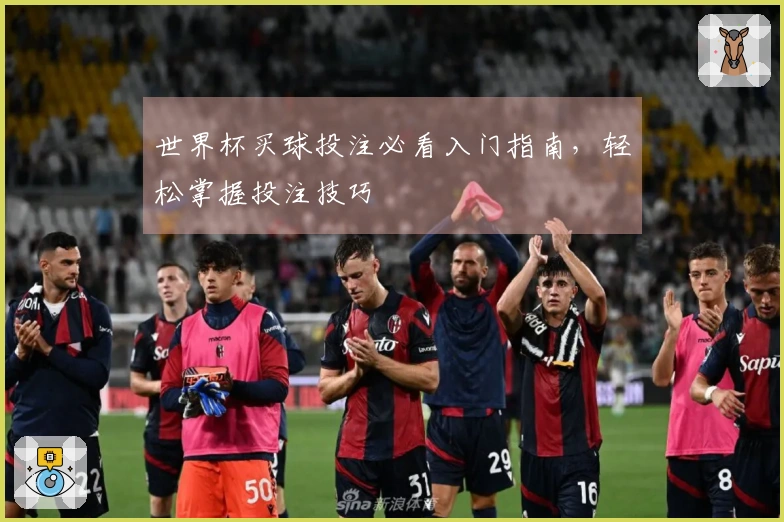 世界杯买球投注必看入门指南，轻松掌握投注技巧