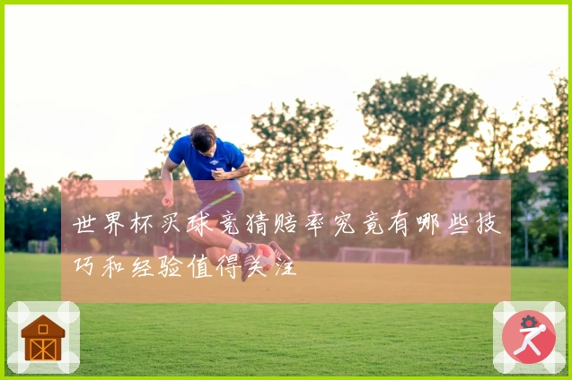世界杯买球竞猜赔率究竟有哪些技巧和经验值得关注
