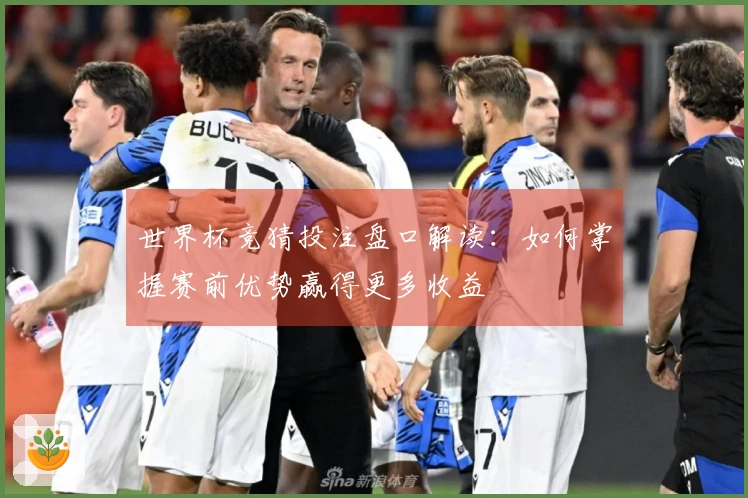 世界杯竞猜投注盘口解读：如何掌握赛前优势赢得更多收益